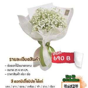 Gypsophila-&-Gypsy-type1