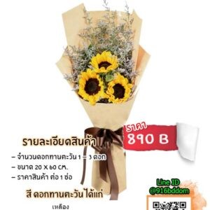 sunflower-S1