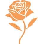 rose-icon