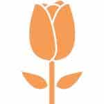 tulip-icon